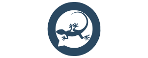 cyberprotect-protect-icon